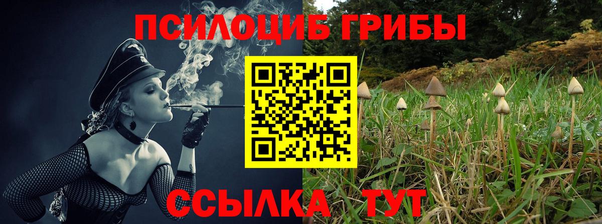 Галлюциногенные грибы Psilocybe  Вход с VPN  Нефтекумск 
