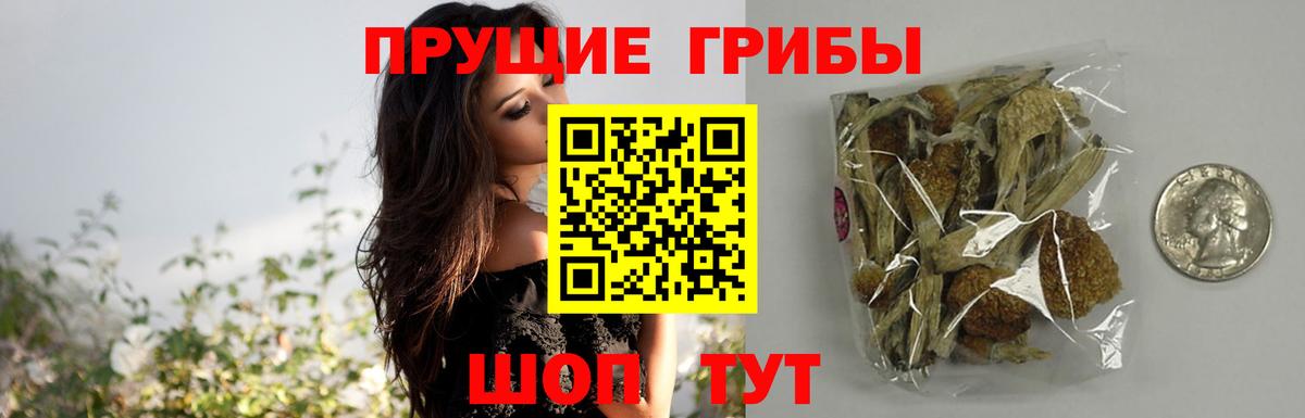 Псилоцибиновые грибы ЛСД Нефтекумск